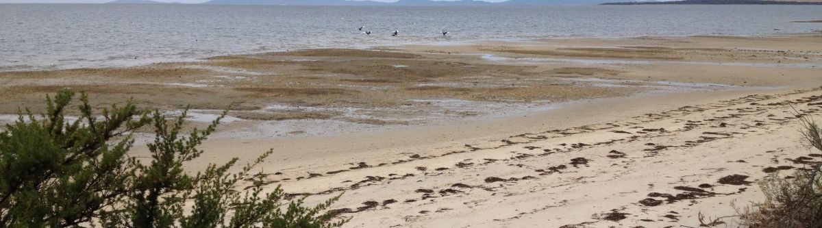 South Gippsland Common Times cover image