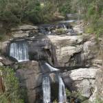 Friends of Agnes Falls Inc profile picture